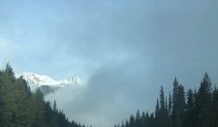 Drug Alcohol Treatment