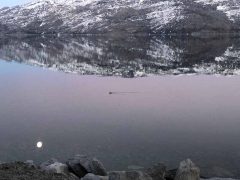 Alcohol and drug treatment